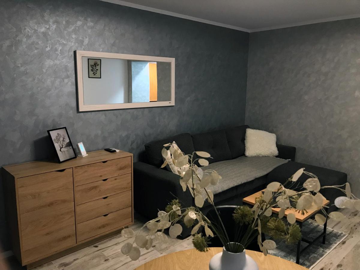 סוסאבה Homely Apartment מראה חיצוני תמונה